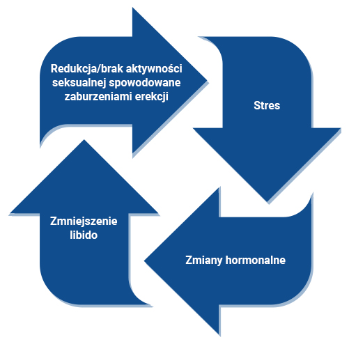 co pić, aby przyjść do erekcji czego potrzebujesz, aby penis stał dłużej